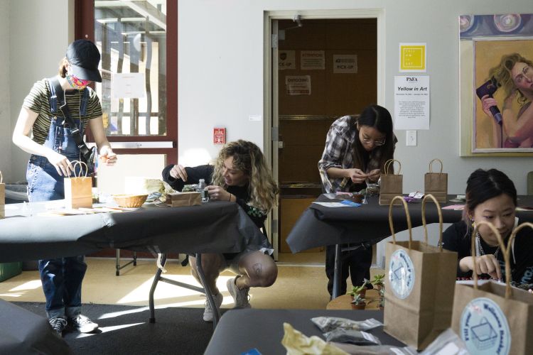 Students building their own terrarium in a student wellness workshop.