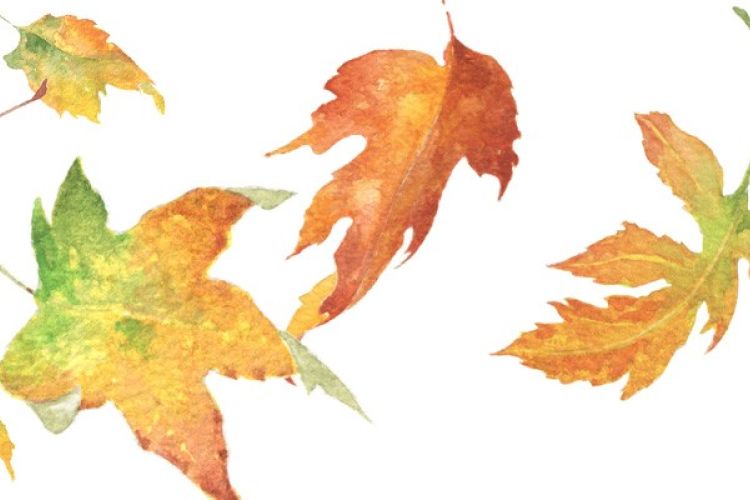 Autumn Leaves in Watercolor