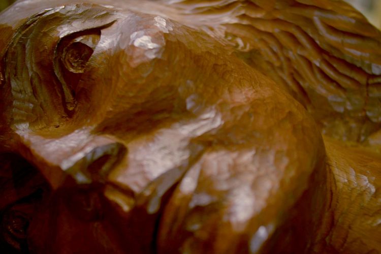 an extreme close up of face of the wood sculpture, "Portrait of Richanda" 