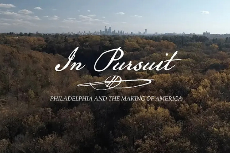 In Pursuit Image